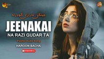 Jeenakai Na Razi Gudar Ta By Haroon Bacha | Pashto Audio Song | Spice Media