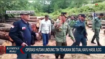 Operasi Hutan Lindung Tim Temukan 363 Tual Kayu Hasil Ilog
