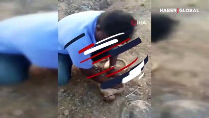 Yeni Delhi’de suni teneffüs yaptığı maymunun hayatını kurtardı