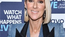 VOICI -  Céline Dion et ses étranges chaussures : on connait enfin leur signification