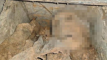 330 yıl önce ölen adamın mezarı kazıldı, karşılarında gördüklerine polisler bile inanamadı