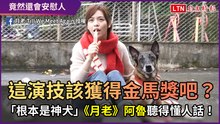 這演技該獲得金馬獎吧？ 「根本是神犬」《月老》阿魯聽得懂人話！