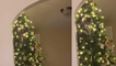 'Cat's 'not-so-gentle' way of redecorating Christmas tree caught on camera'
