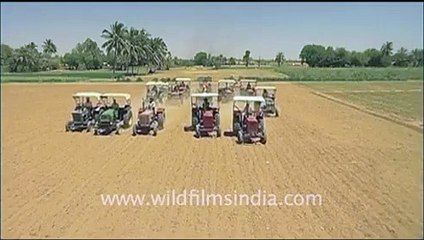 Tractors in the fields...