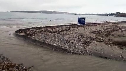 Kamara Deresi’ndeki kirlilik Marmara Denizi’ne karışıyor