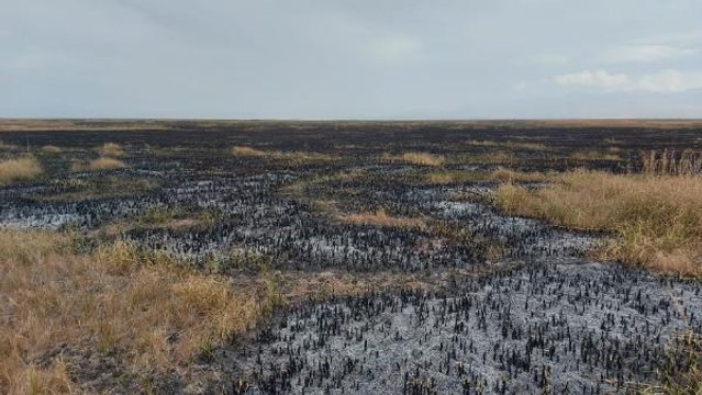 Son dakika haberleri | SULTAN SAZLIĞI MİLLİ PARKI'NDA 3'ÜNCÜ YANGIN; 10 SAATTE SÖNDÜRÜLDÜ