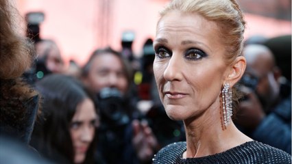 GALA VIDEO - Céline Dion, ses retrouvailles très sexy avec Pepe Munoz à Paris