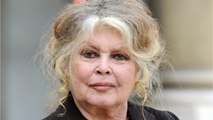 GALA VIDEO - Brigitte Bardot, dégoûtée : ce courrier qu’elle a écrit à la fille de Brigitte Macron