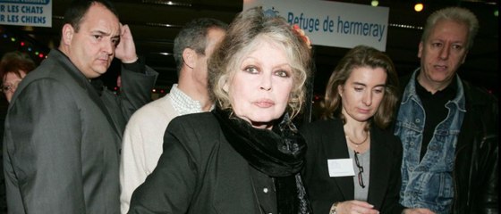 GALA VIDEO - Brigitte Bardot approchée par Claude Lelouch pour un film : sa réponse cinglante
