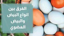 الفرق بين انواع البيض و البيض العضوي