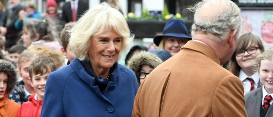 GALA VIDEO - Le prince Charles, toujours aussi romantique à 70 ans : sa belle déclaration d'amour à Camilla