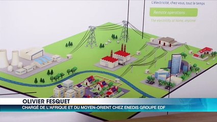Energie : EDF international et l'ANARE-CI signent un contrat d'assistance technique