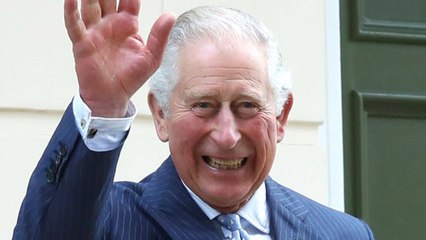 GALA VIDÉO - Trop craquant : de nouvelles photos du prince Charles taquiné par le petit prince Louis