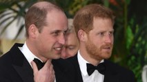 VOICI Prince Harry : voilà pourquoi le prince William n’a aucune chance d’interférer dans ses décisions futures