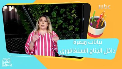 نباتات مبهرة داخل الجناح السنغافوري في إكسبو 2020!