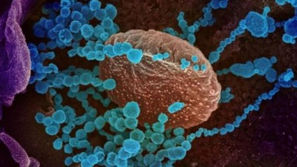 UK reports first death with Omicron variant