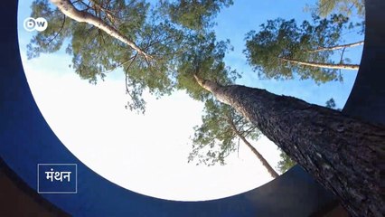 घर में पेड़ या पेड़ में घर