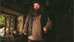 VOICI - Robbie Coltrane malade : l’interprète d’Hagrid dans Harry Potter aperçu en fauteuil roulant
