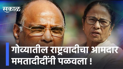 Mamata Banerjee | गोव्यातील राष्ट्रवादीचा आमदार ममतादीदींनी पळवला !| Sakal Media |