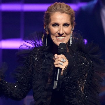 VOICI social - Céline Dion Jugée Beaucoup Trop Maigre, Un Cliché Alerte Les Internautes (1)