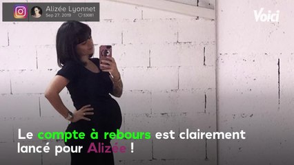 VOICI Alizée bientôt maman : même son chien s'impatiente de voir le bébé arriver !