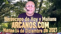 Horóscopo de Hoy y Mañana - ARCANOS.COM - Martes 14 de Diciembre de 2021