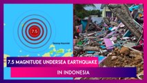 Indonesia: 7.5 Magnitude Undersea Earthquake In Flores Sea Leads To Tsunami Warning