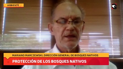 Tải video: Protección de los Bosques Nativos