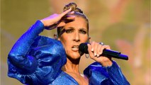 VOICI Céline Dion a-t-elle vidé les caisses du festival des Vieilles Charrues ?