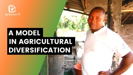 Benin: A model in agricultural diversification