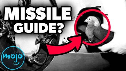 Top 10 Secret Government Programs You Won't Believe Existed