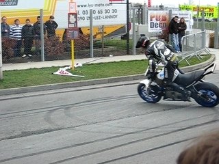 MONS 2008