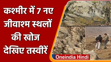 South Kashmir: Kulgam में सात Fossil site की खोज,  40 करोड़ साल पुराना है रिश्ता | वनइंडिया हिंदी