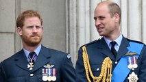 VOICI Prince Harry : son cadeau à William pour ses fiançailles avec Kate Middleton