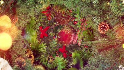 Spiagge d'inverno: Le Saline