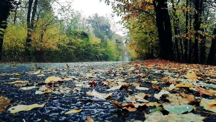 BEAUTIFULL SCENE OF RAIN