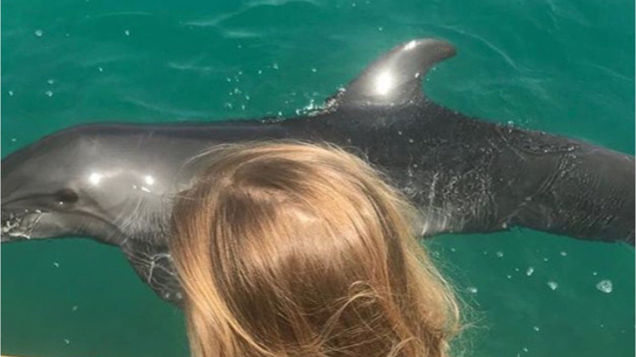 VOICI Carla Bruni émue par la rencontre entre Giulia et un « dauphin thérapeute "VOICI Carla Bruni émue par la rencontre entre Giulia et un « dauphin thérapeute "