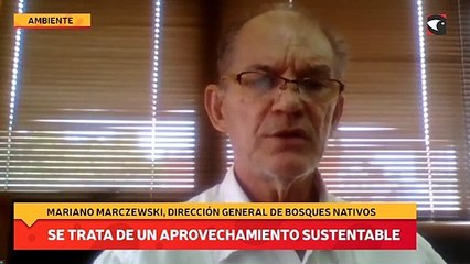 Los trabajos se pararon hasta nuevo aviso