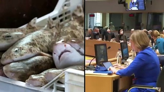 Accord de l’Union européenne sur les quotas de pêche en 2022