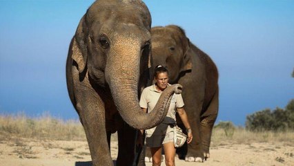 VOICI Stéphanie de Monaco en deuil : Népal, l'éléphante sauvée par la princesse est morte