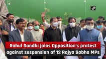 Rahul Gandhi joins Opposition's protest against suspension of 12 Rajya Sabha MPs