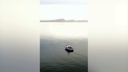 This incredible drone footage shows a humpback whale coming up for air in the Firth of Forth.