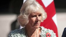 VOICI - Rose Hanbury : ce point commun que la supposée maîtresse de William partage avec Camilla Parker Bowles