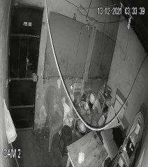 Cámaras graban la forma que operó una banda para saquear negocio