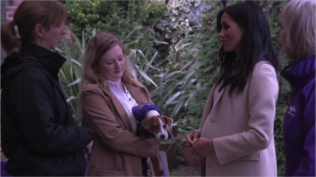 VOICI - Meghan Markle a-t-elle menti sur sa grossesse ? Les lourds soupçons de ses détracteurs