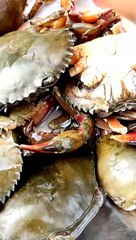 CRAB CURRY