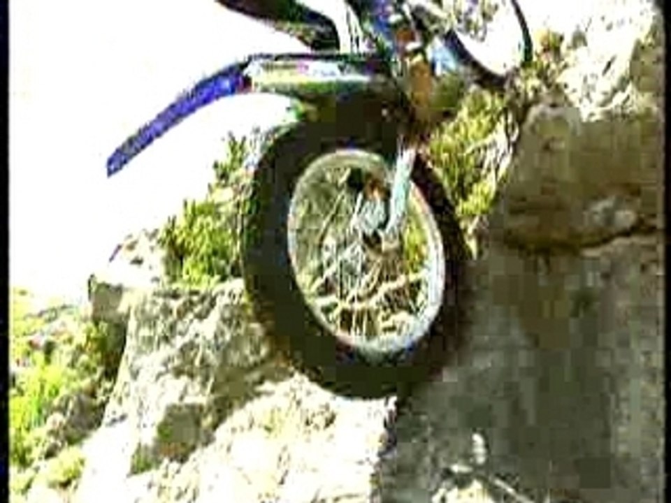 Trial