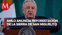 Sembrando Vida se aplicará en la Sierra de San Miguelito: AMLO