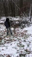 Kids Play with Rescued Fawn