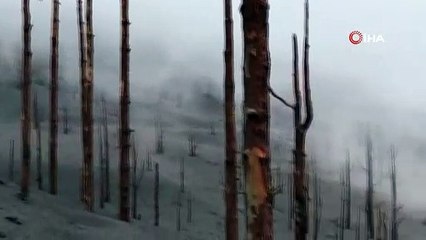 La Palma'daki yanardağda sismik aktivite durdu